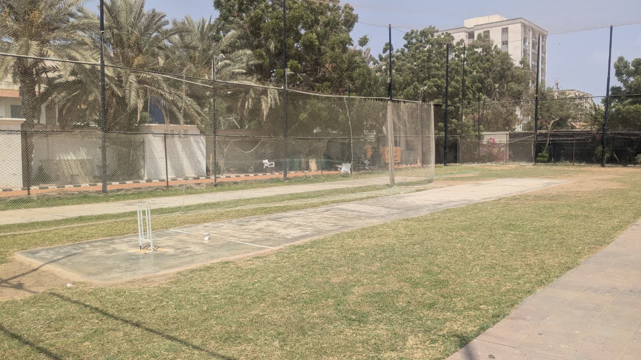 Cricket